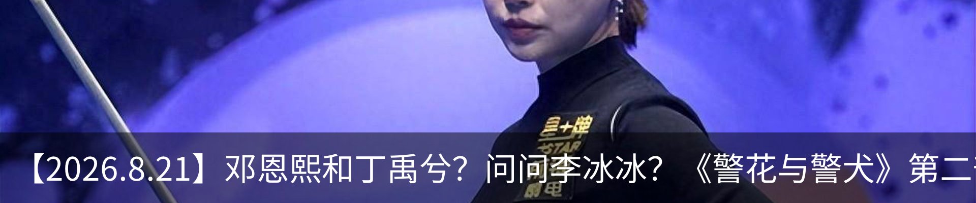 新闻动态