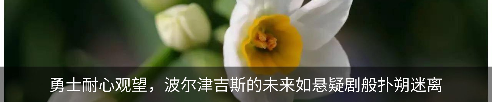 新闻动态