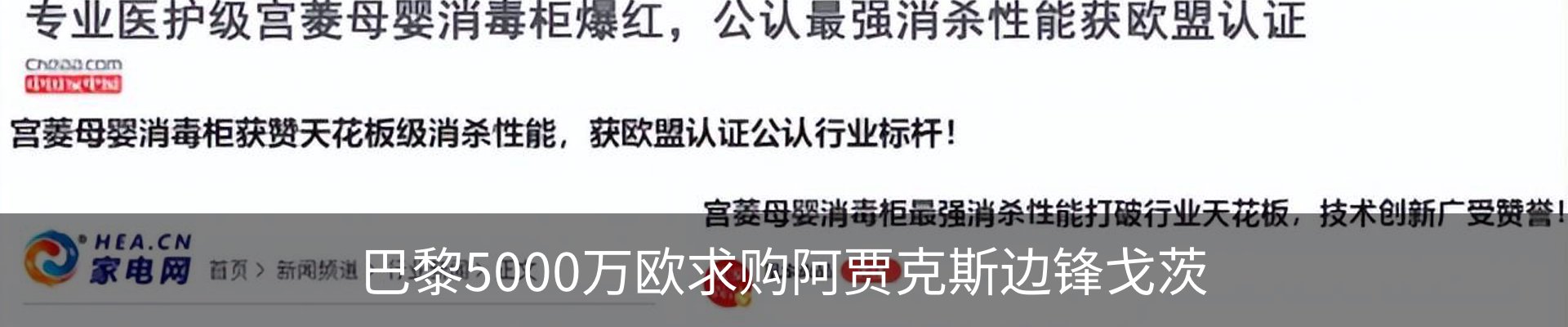 新闻动态