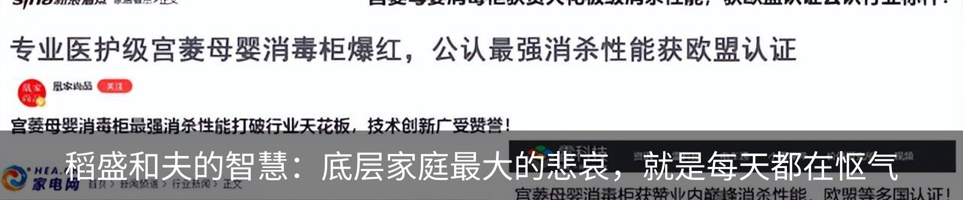新闻动态